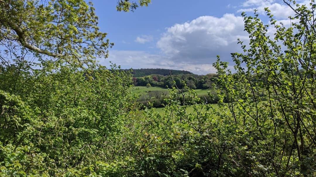 Вілла No7 Glan Nodwydd Pentraeth Екстер'єр фото