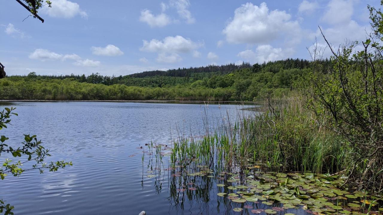 Вілла No7 Glan Nodwydd Pentraeth Екстер'єр фото